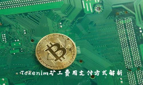 Tokenim矿工费用支付方式解析