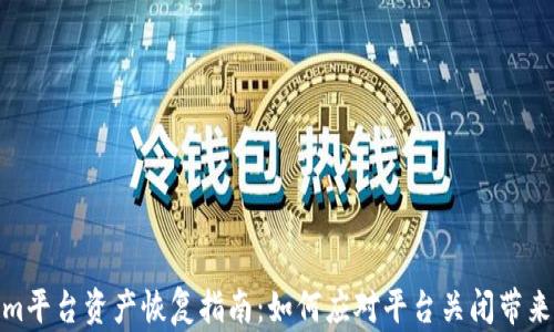 
Tokenim平台资产恢复指南：如何应对平台关闭带来的损失