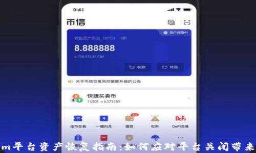 
Tokenim平台资产恢复指南：如何应对平台关闭带来的损失