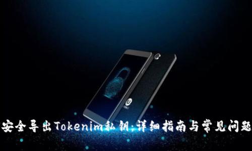 如何安全导出Tokenim私钥：详细指南与常见问题解答