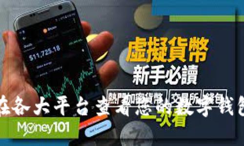 如何在各大平台查看您的数字钱包信息