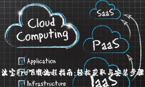 波宝Pro下载流程指南：轻松获取与安装步骤