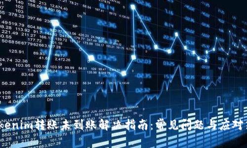  Tokenim转账未到账解决指南：常见问题与应对策略