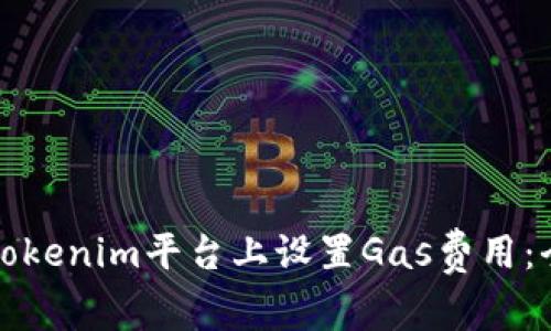 如何在Tokenim平台上设置Gas费用：全面指南