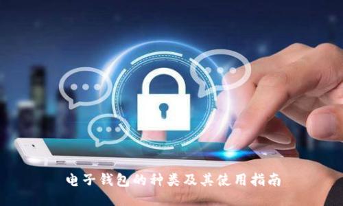 电子钱包的种类及其使用指南