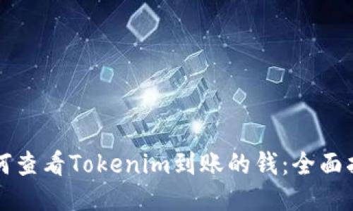 如何查看Tokenim到账的钱:全面指南