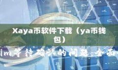 如何处理Tokenim等待确认的问题：全面
