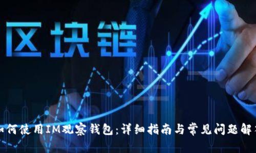 如何使用IM观察钱包:详细指南与常见问题解答