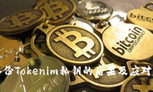 不备份Tokenim私钥的后果及应对策略