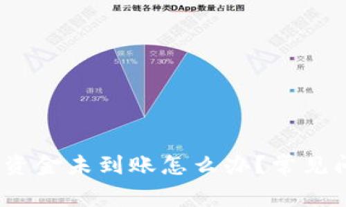 IM Token钱包资金未到账怎么办?常见问题及解决方案