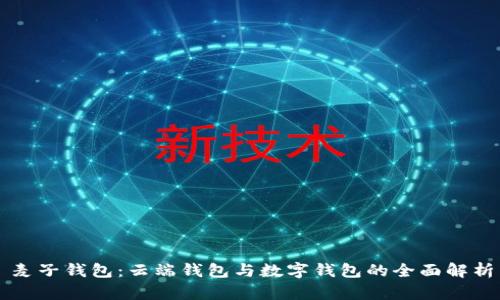 麦子钱包:云端钱包与数字钱包的全面解析