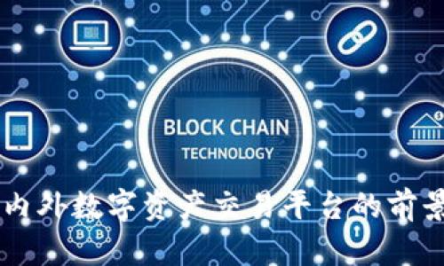 Tokenim:国内外数字资产交易平台的前景和影响分析
