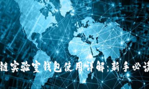 区块链实验室钱包使用详解:新手必读指南