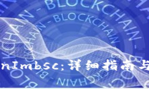 如何导入TokenImbsc:详细指南与常见问题解析