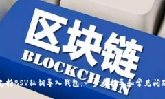 如何支持BSV私钥导入钱包：一步步指导