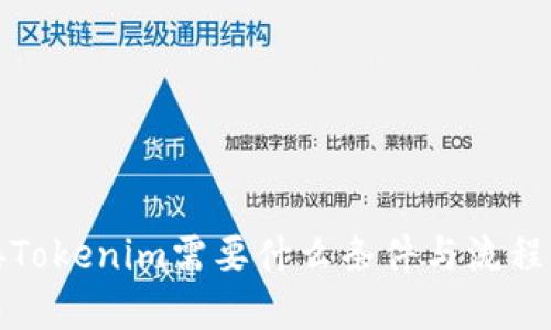 对接Tokenim需要什么条件与流程详解