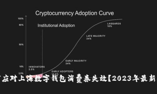 如何应对上海数字钱包消费券失效？2023年最新攻略
