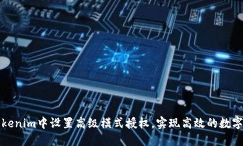 如何在Tokenim中设置高级模式授权，实现高效的数字资产管理