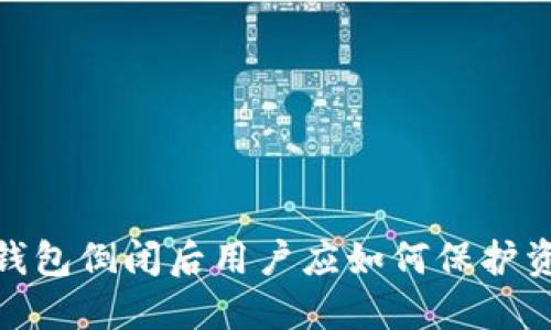 Imtoken钱包倒闭后用户应如何保护资产和数据