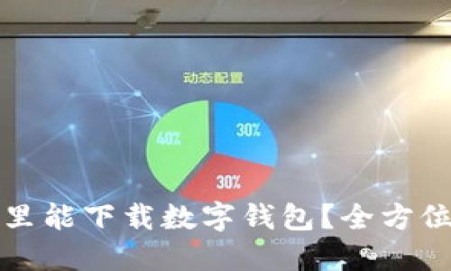 从哪里能下载数字钱包？全方位指南