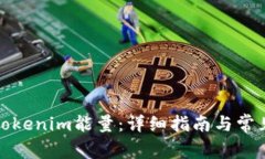如何充值Tokenim能量：详细指南与常见