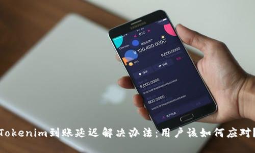 Tokenim到账延迟解决办法：用户该如何应对？