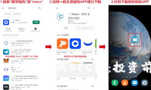 详细解析ImToken钱包中的BEC币：投资前必知的关键信息