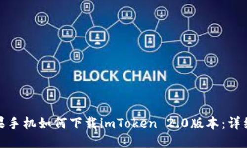 : 苹果手机如何下载imToken 2.0版本：详细指南