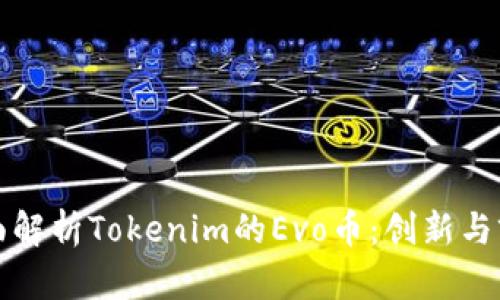 全面解析Tokenim的Evo币：创新与前景