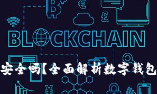 向数字钱包充钱安全吗？全面解析数字钱包的安全性与风险