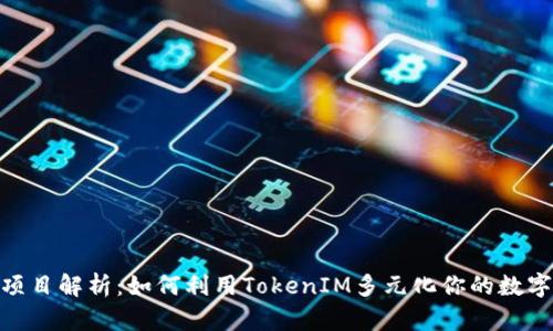 TokenIM项目解析：如何利用TokenIM多元化你的数字货币投资