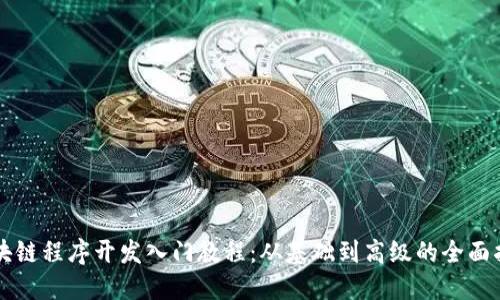 区块链程序开发入门教程：从基础到高级的全面指南