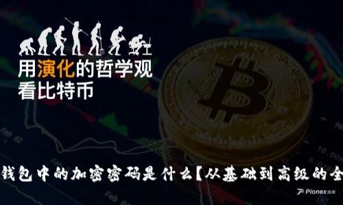 : 数字钱包中的加密密码是什么？从基础到高级的全面解析