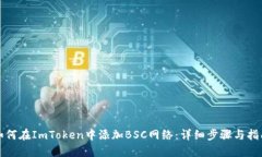 如何在ImToken中添加BSC网络：详细步骤