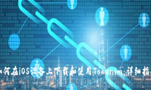 如何在iOS设备上下载和使用Tokenim:详细指南
