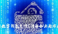 哪个超市可以使用数字钱包支付？详解