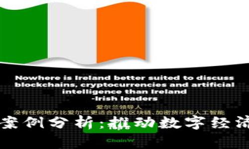 南安数字钱包案例分析：推动数字经济发展的新路径