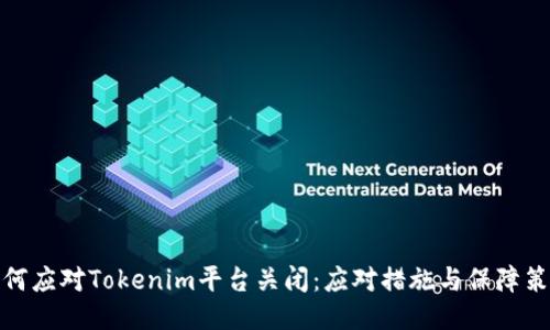 如何应对Tokenim平台关闭：应对措施与保障策略