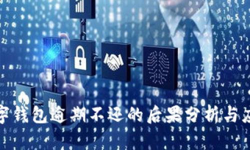 数字钱包逾期不还的后果分析与应对