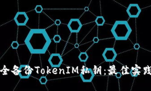 如何安全备份TokenIM私钥:最佳实践与技巧