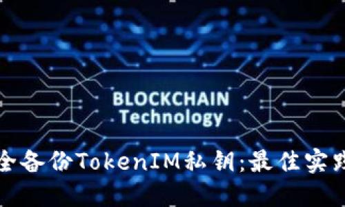 如何安全备份TokenIM私钥:最佳实践与技巧