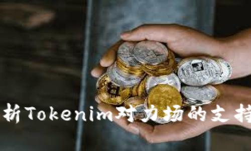 全面解析Tokenim对力场的支持与应用