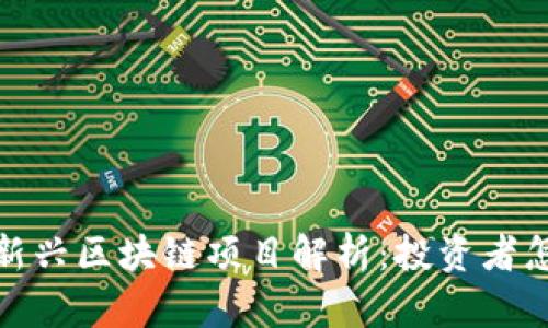 2023年新兴区块链项目解析：投资者怎么选择？