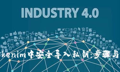 如何在Tokenim中安全导入私钥：步骤与注意事项