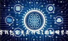 且的李晨使用的数字钱包究竟是什么？