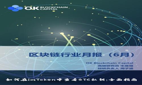 如何在imToken中查看BTC私钥:全面指南